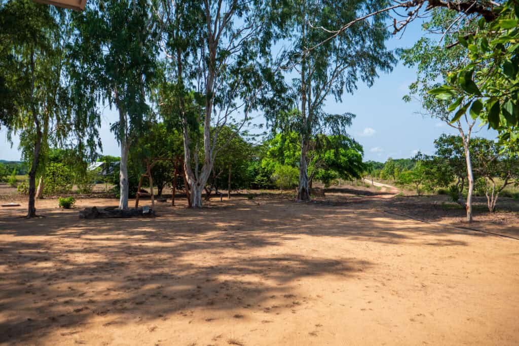 little bohemia Kolumbie / Vichada - pracovní cesta