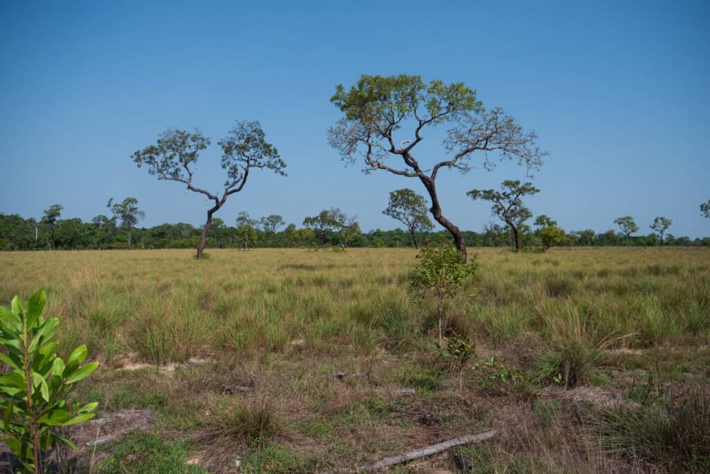little bohemia Kolumbie / Vichada - pracovní cesta