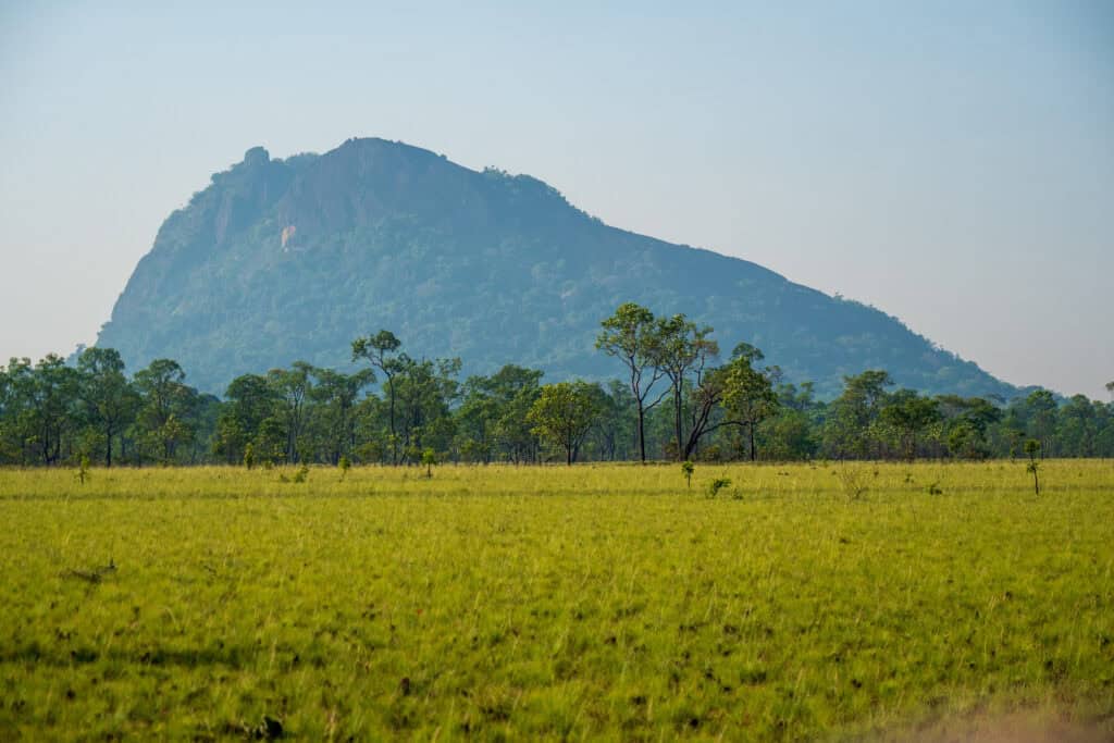 little bohemia Kolumbie / Vichada - pracovní cesta