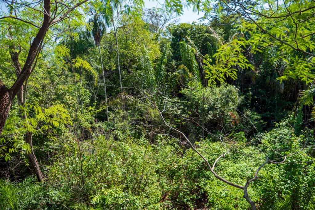 little bohemia Kolumbie / Vichada - pracovní cesta