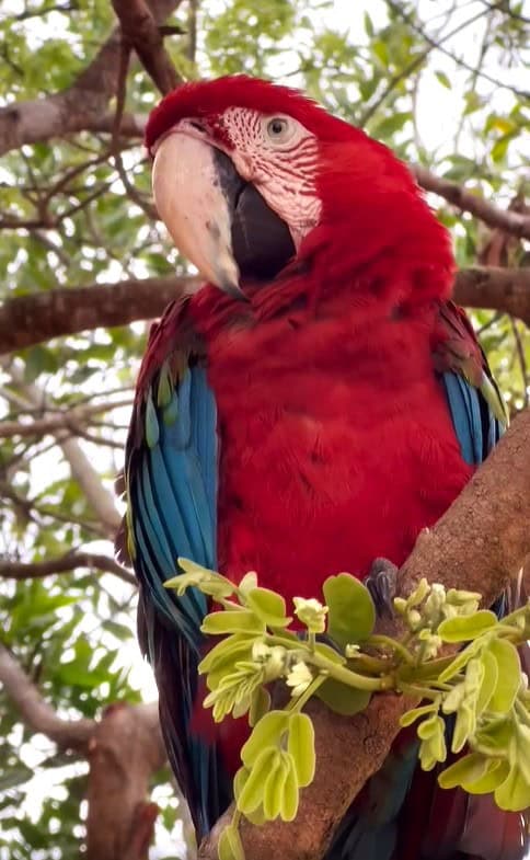 little bohemia Kolumbie / Vichada - pracovní cesta