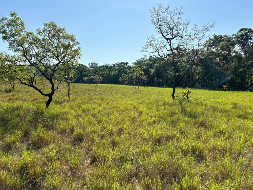 little bohemia Kolumbie / Vichada - pracovní cesta