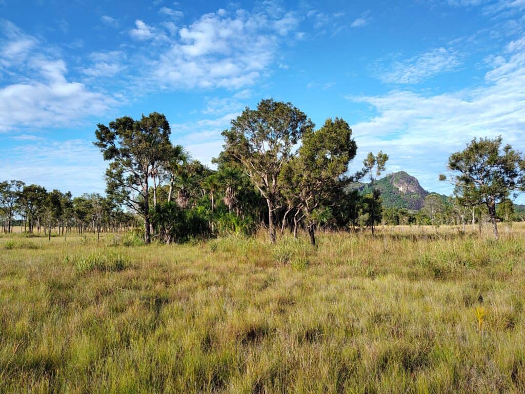little bohemia Kolumbie / Vichada - pracovní cesta červenec 2024