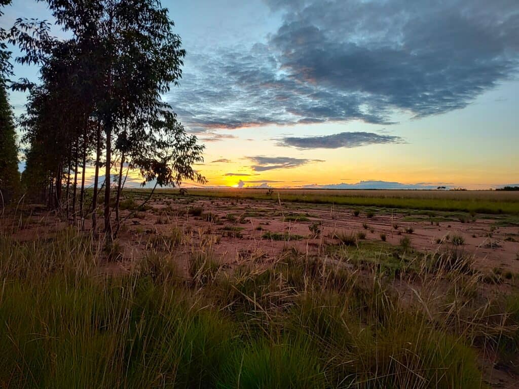 little bohemia Kolumbie / Vichada - pracovní cesta červenec 2024