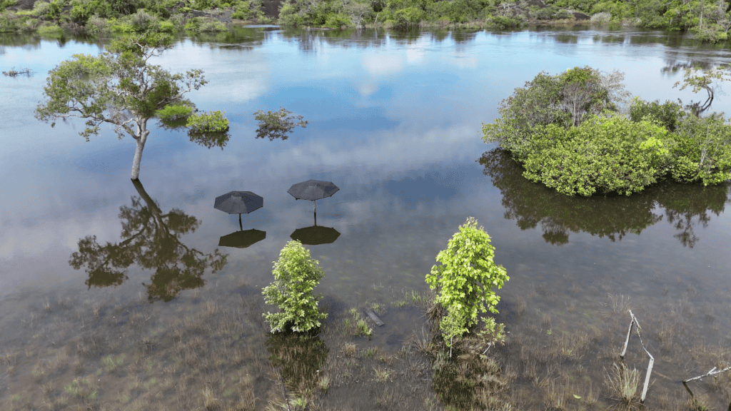 little bohemia Kolumbie / Vichada - pracovní cesta červenec 2024