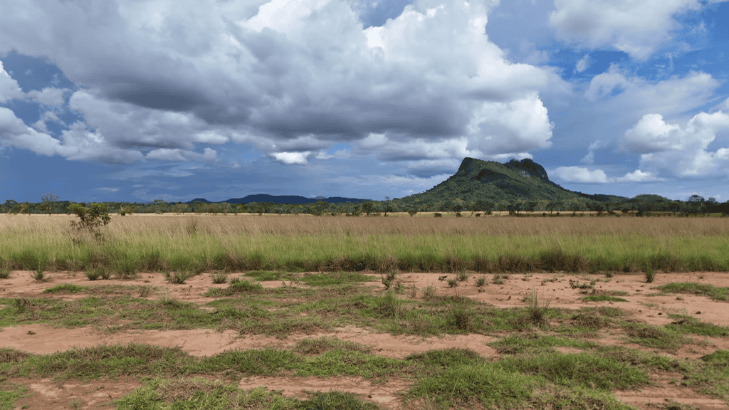 little bohemia Kolumbie / Vichada - pracovní cesta červenec 2024