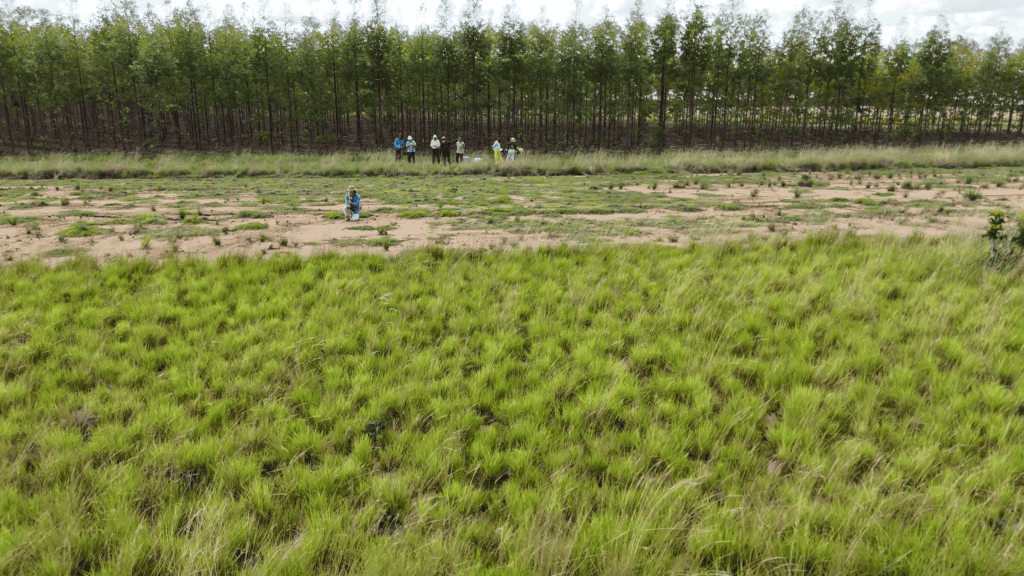 little bohemia Kolumbie / Vichada - pracovní cesta červenec 2024