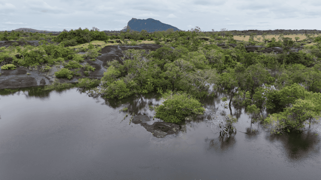 little bohemia Kolumbie / Vichada - pracovní cesta červenec 2024