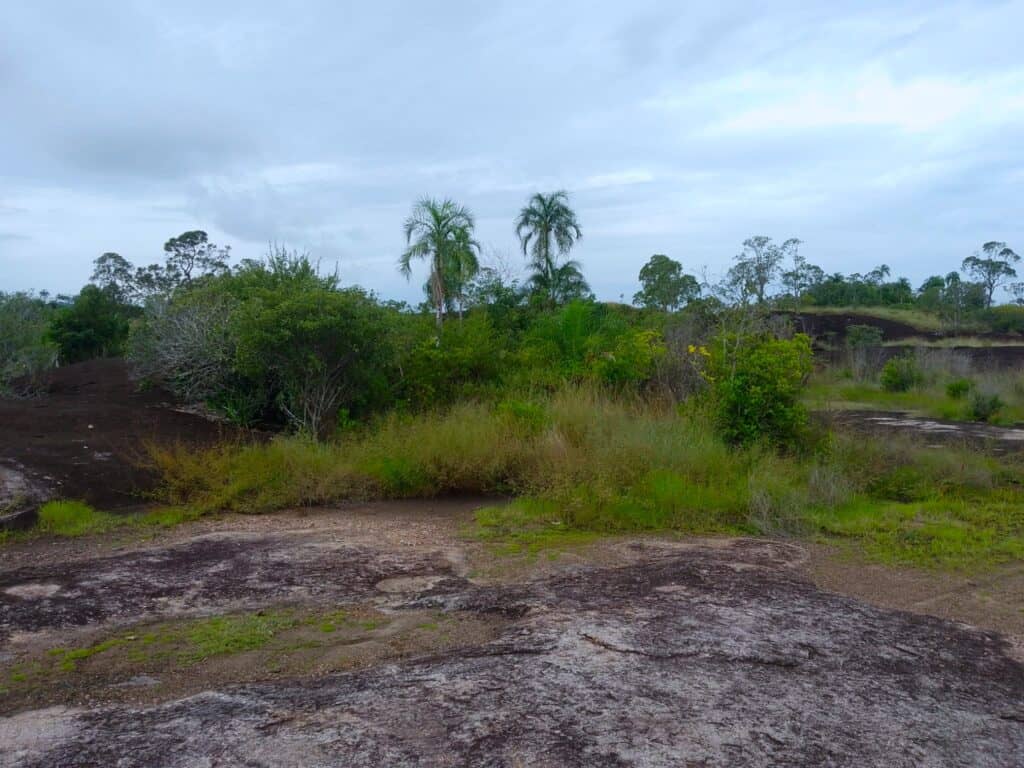 little bohemia Kolumbie / Vichada - pracovní cesta - červenec 2025