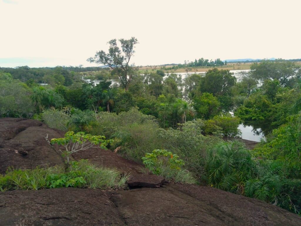 little bohemia Kolumbie / Vichada - pracovní cesta - červenec 2025