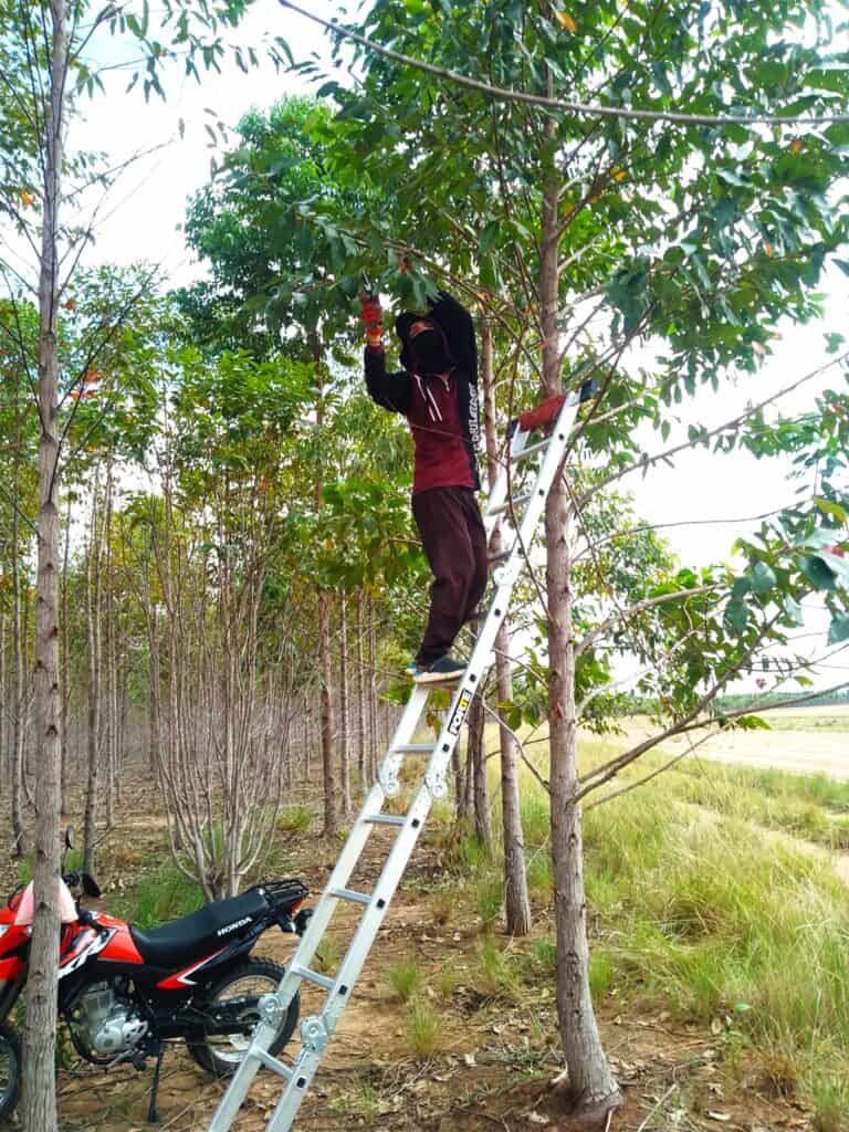 little bohemia Kolumbie / Vichada - pracovní cesta - červenec 2025