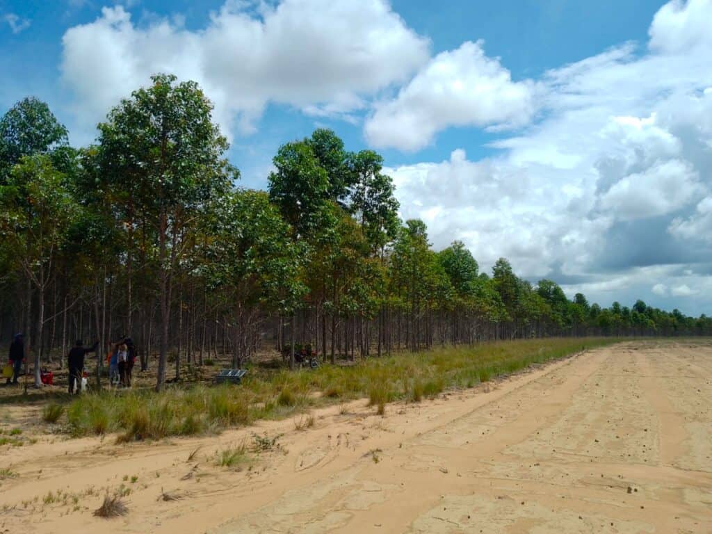 little bohemia Kolumbie / Vichada - pracovní cesta - červenec 2025